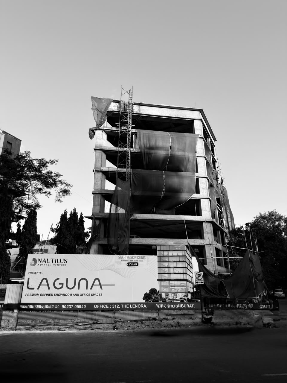 Natulius laguna - Surat